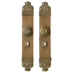 Set of French Brass Doors Handles and Plates