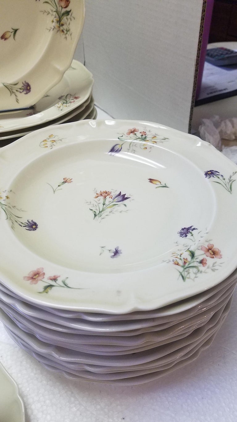 Set of French Limoges Dinnerware, 29 Pieces For Sale at 1stDibs