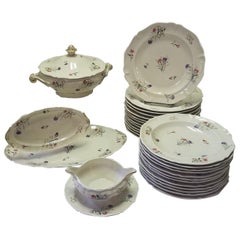 Vintage Set of French Limoges Dinnerware, 29 Pieces