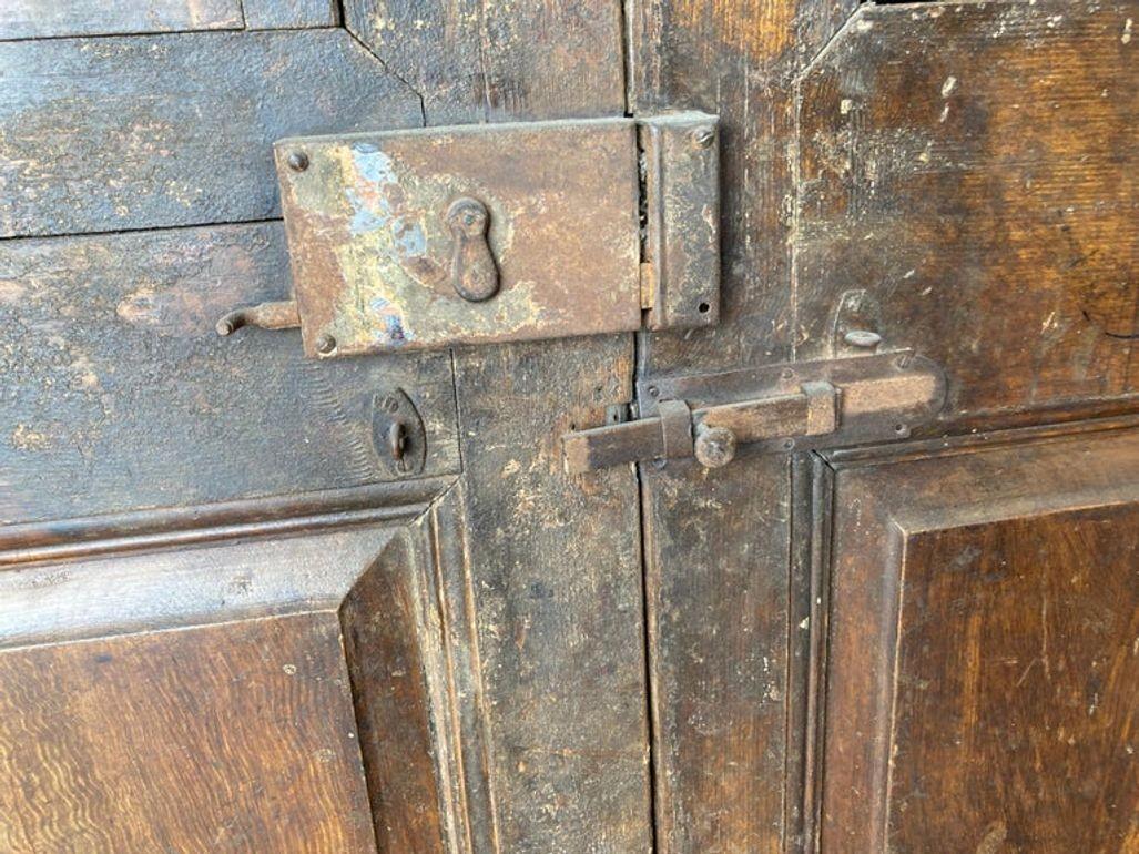 19th Century Set of French Painted Double Entry Door with Iron Insert For Sale