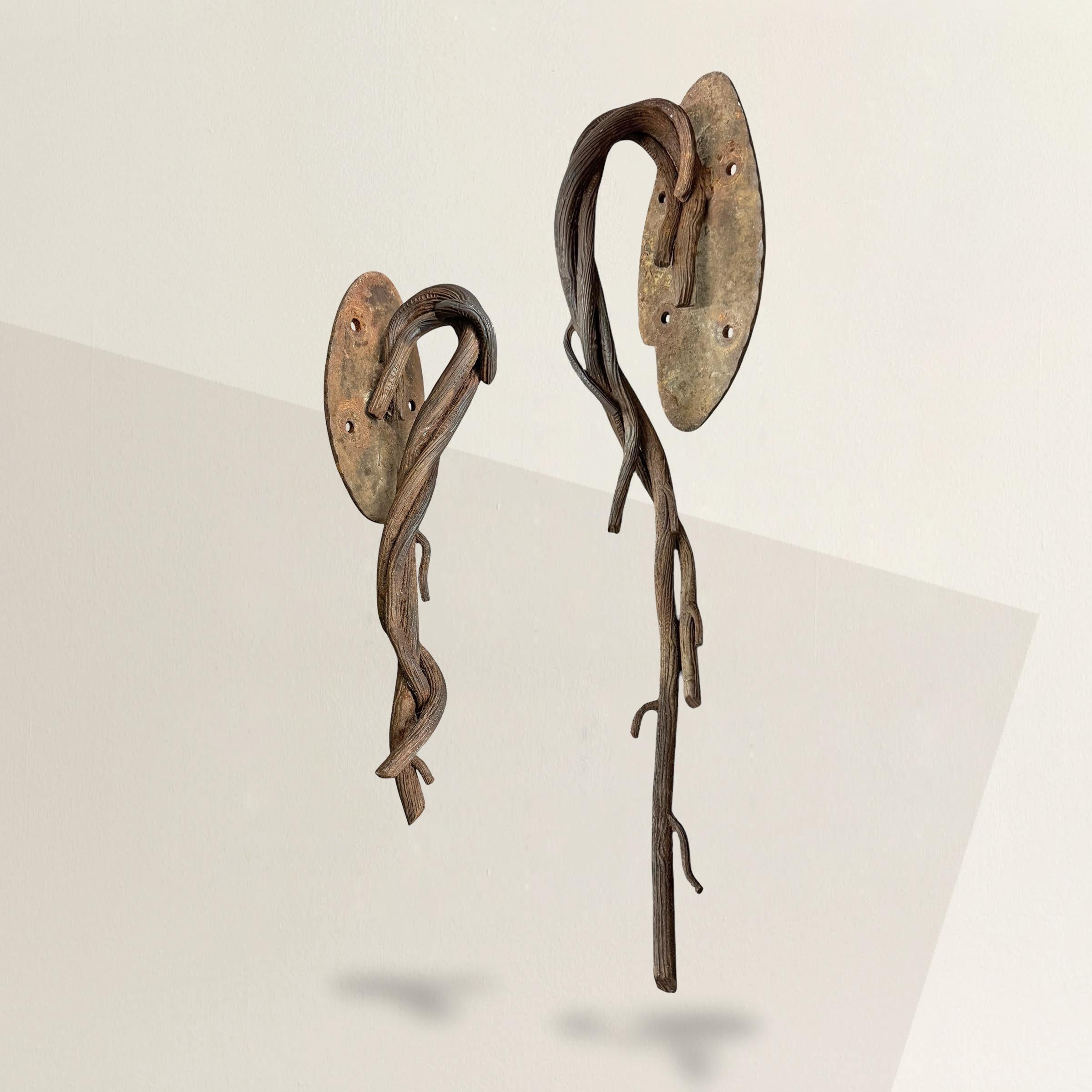 Questo set di due maniglie per porte in ferro battuto francese del XX secolo cattura il movimento organico delle viti attorcigliate con un dettaglio notevole. I manici ad anello, scolpiti in modo da assomigliare a dei rami con corteccia strutturata,