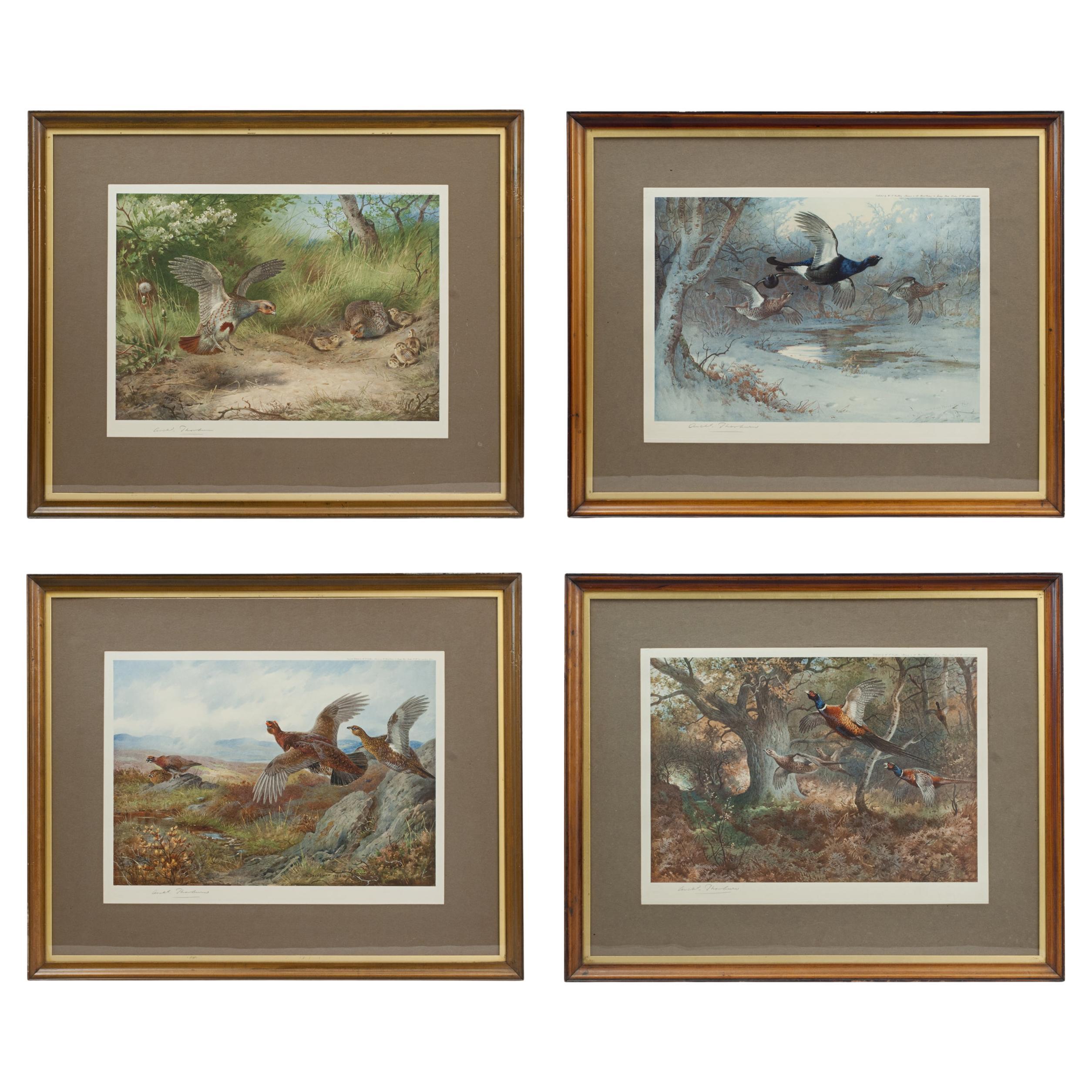 Set di colotipi di uccelli da caccia di Archibald Thorburn "The Four Seasons