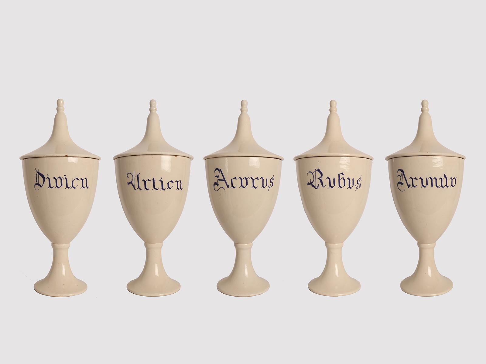 Set of five large apothecary-herbalist jars in white ceramic with cobalt blue writing, to contain Dioica, Nettle (Urtica Dioica), Aromatic Calamus (Acorus calamus), Raspberry (Rubus Idaelus), Arundo (A. Donax) of neoclassical taste . The lid handle