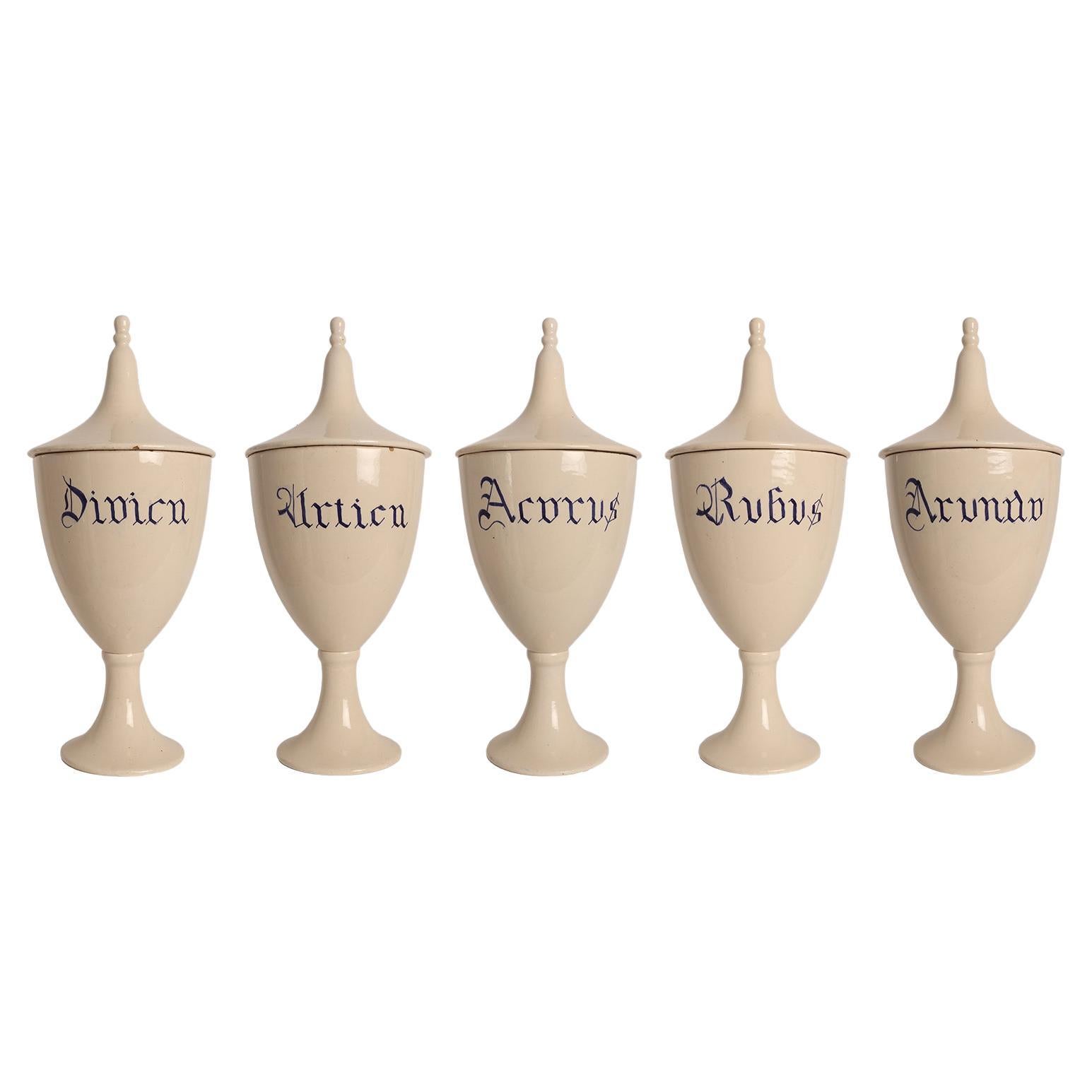 Set of herbalist pharmacy ceramic jars, Italy 1890.