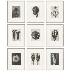 Mid-Century Modern Photography