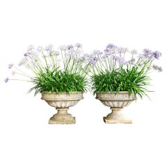 Used Impressive pair of 19th Century marble Vases - Planters - Jardinieres