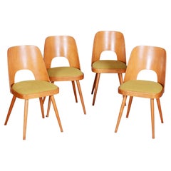 Set of Mid-Century Brown and Yellow Beech Chairs, Oswald Haerdtl, 1950s, Czechia