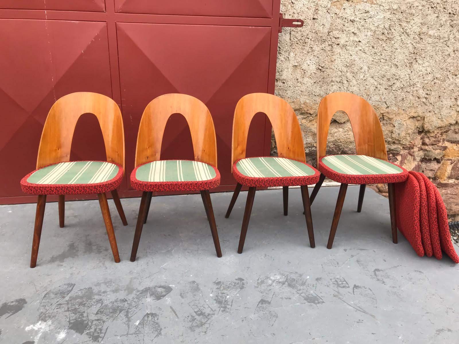 Set of Midcentury Dining Chairs by Antonin Suman, Czechoslovakia 5
