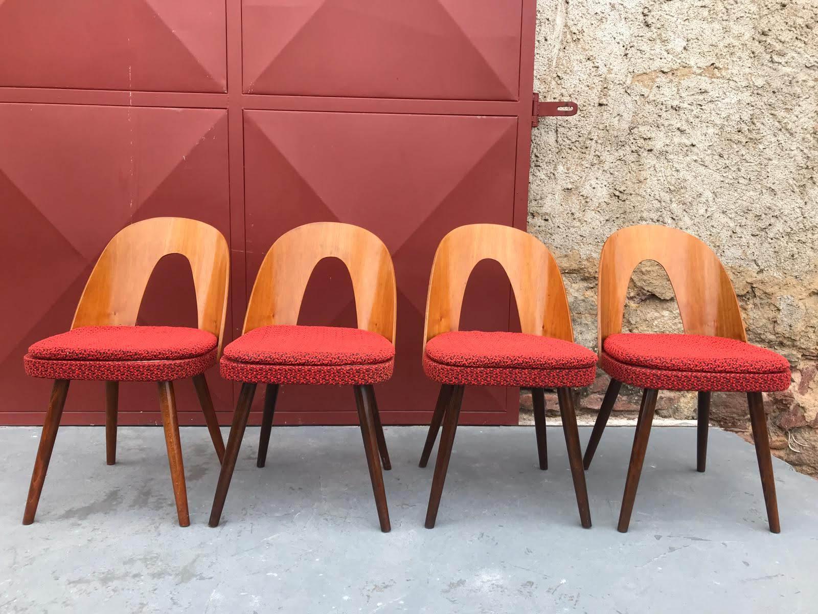 Set of Midcentury Dining Chairs by Antonin Suman, Czechoslovakia 9