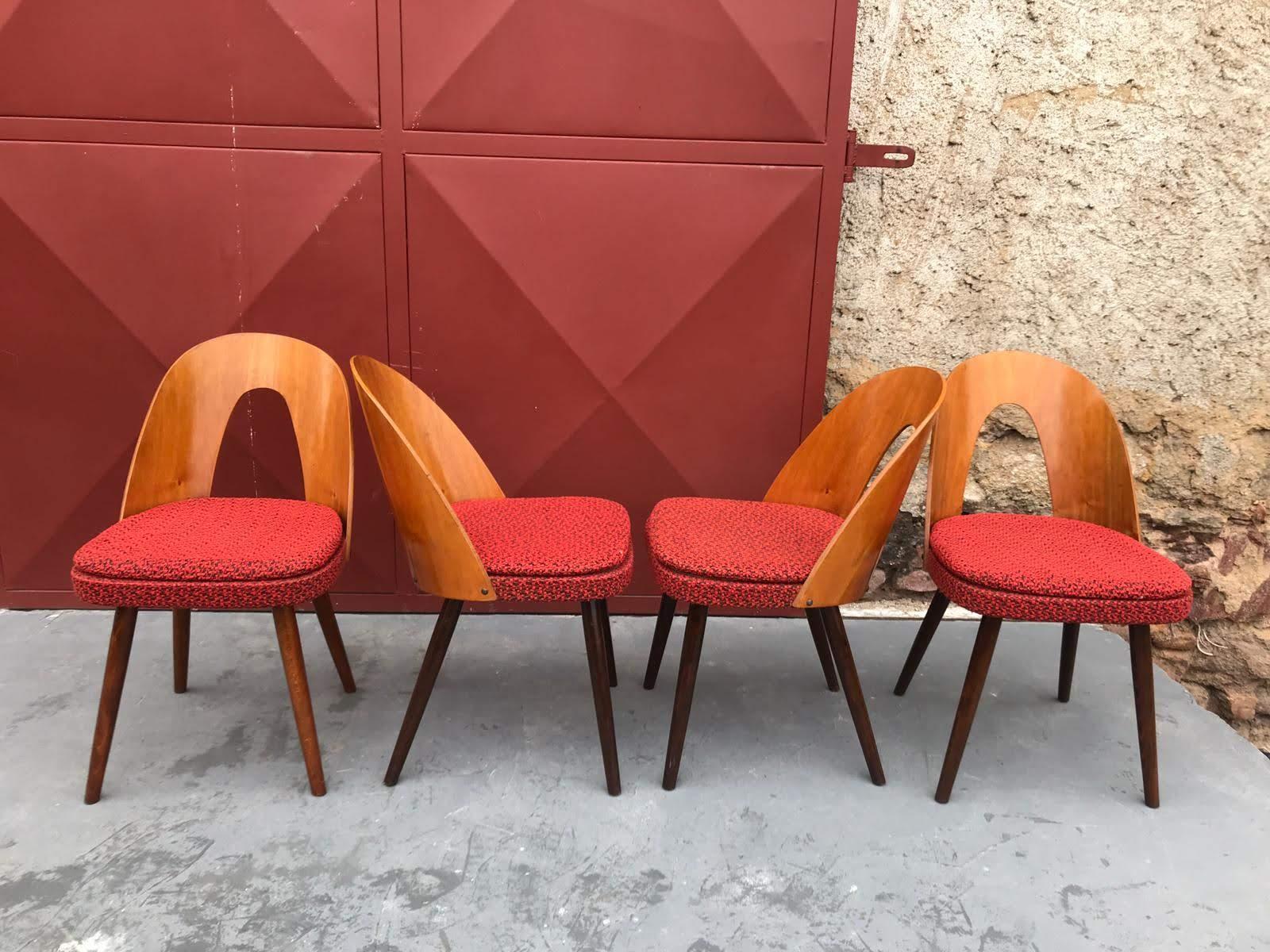 Set of Midcentury Dining Chairs by Antonin Suman, Czechoslovakia 1