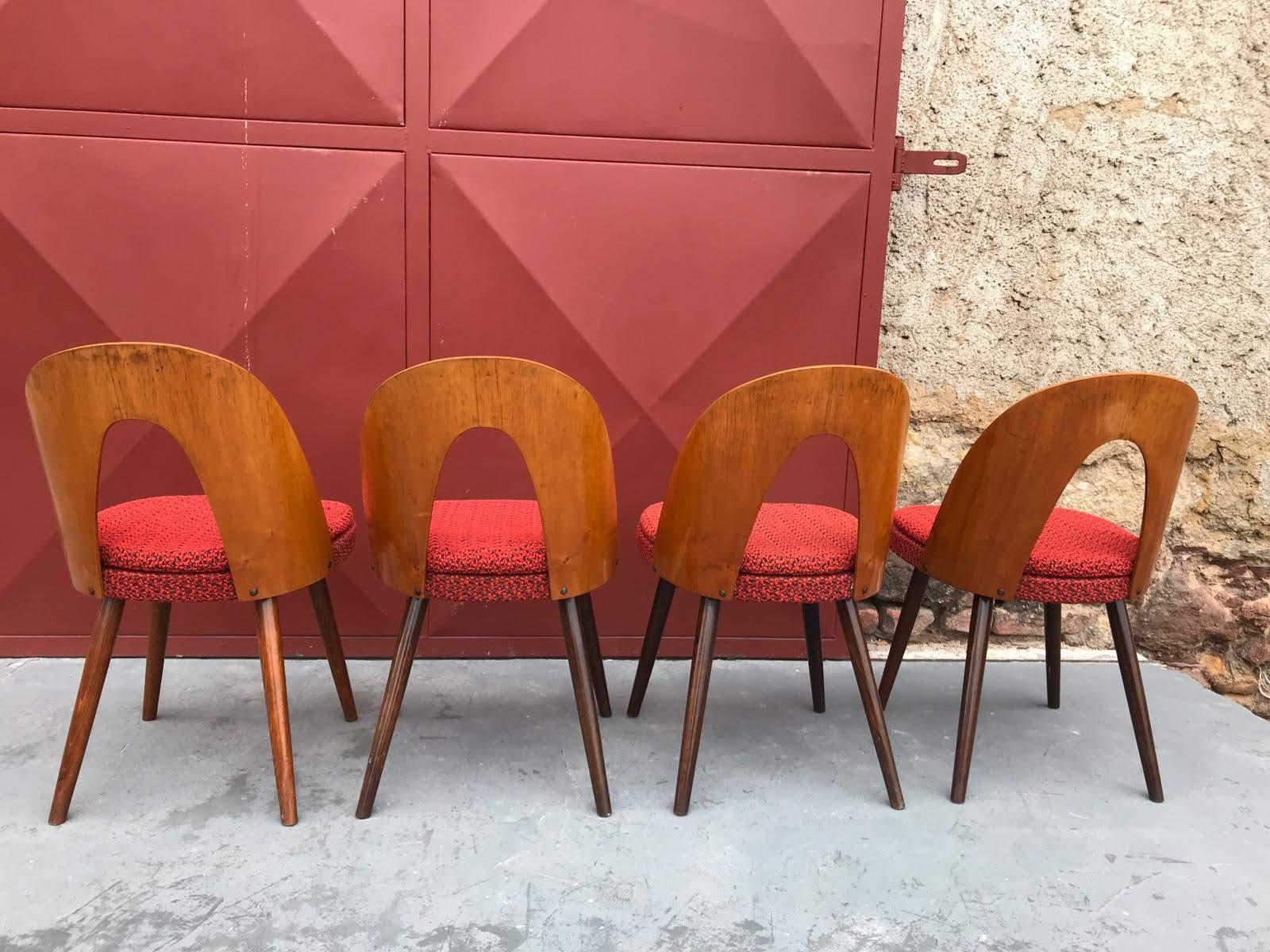 Set of Midcentury Dining Chairs by Antonin Suman, Czechoslovakia 2