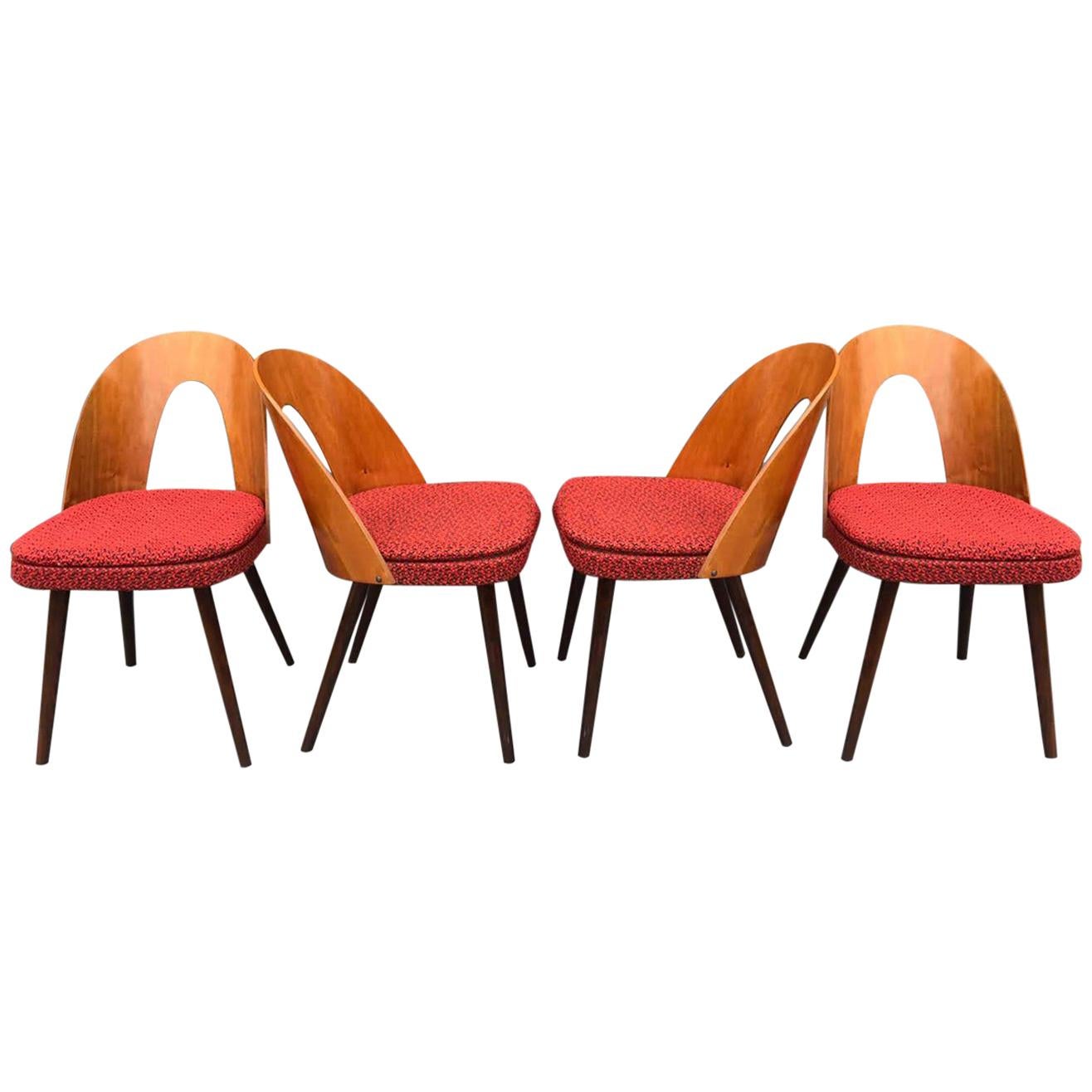 Set of Midcentury Dining Chairs by Antonin Suman, Czechoslovakia