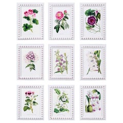 Set of Nine 19th Century Hand Finished Van Houtte Flower Chromolithographs