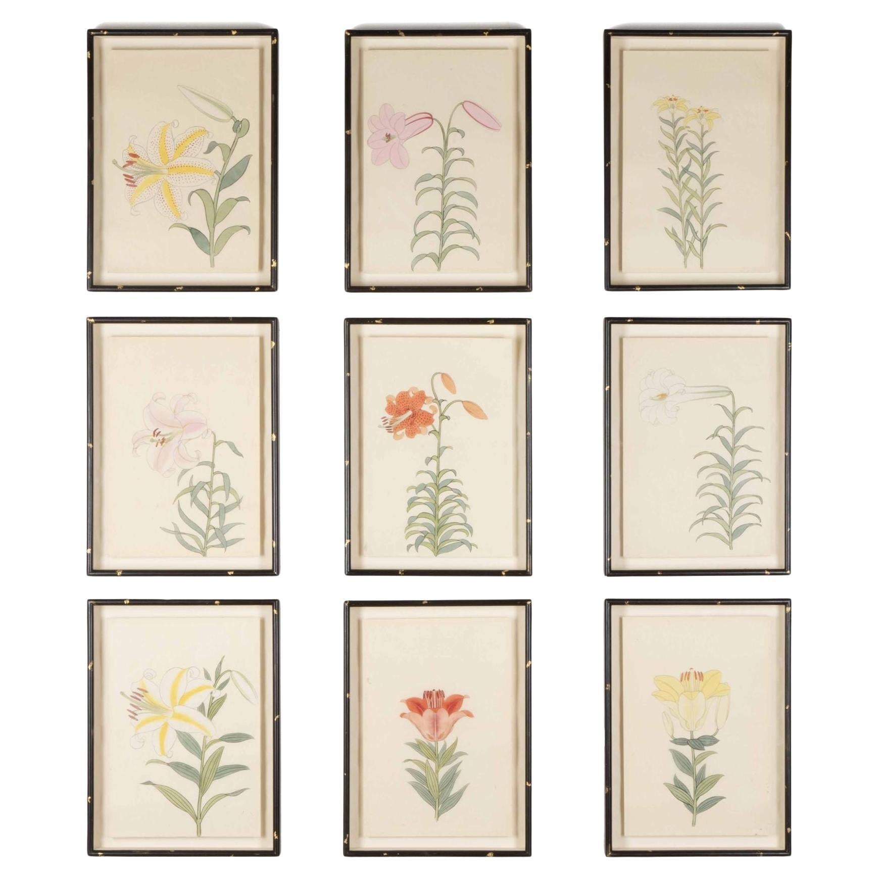 Set of Nine 19th Century Japanese Ink and Watercolour Paintings of Lilies