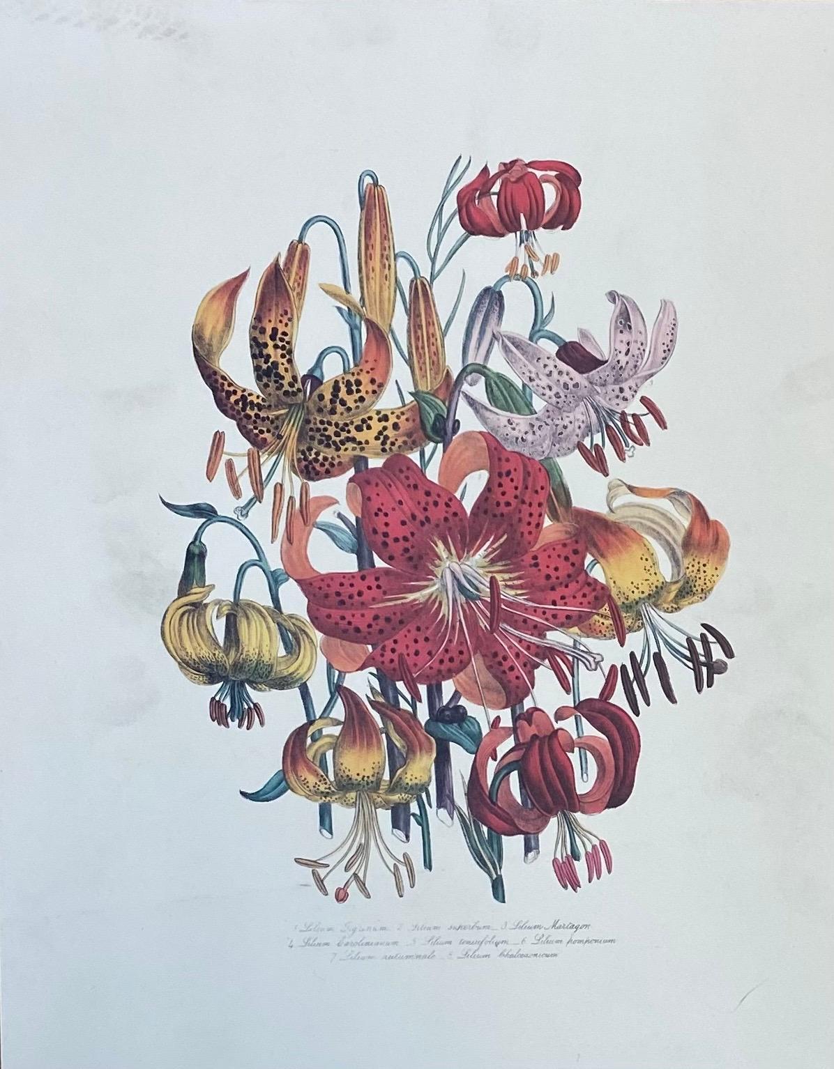 Set von neun botanischen, geblümten Drucken, Ideal Gallery Wandprojekt im Angebot 4