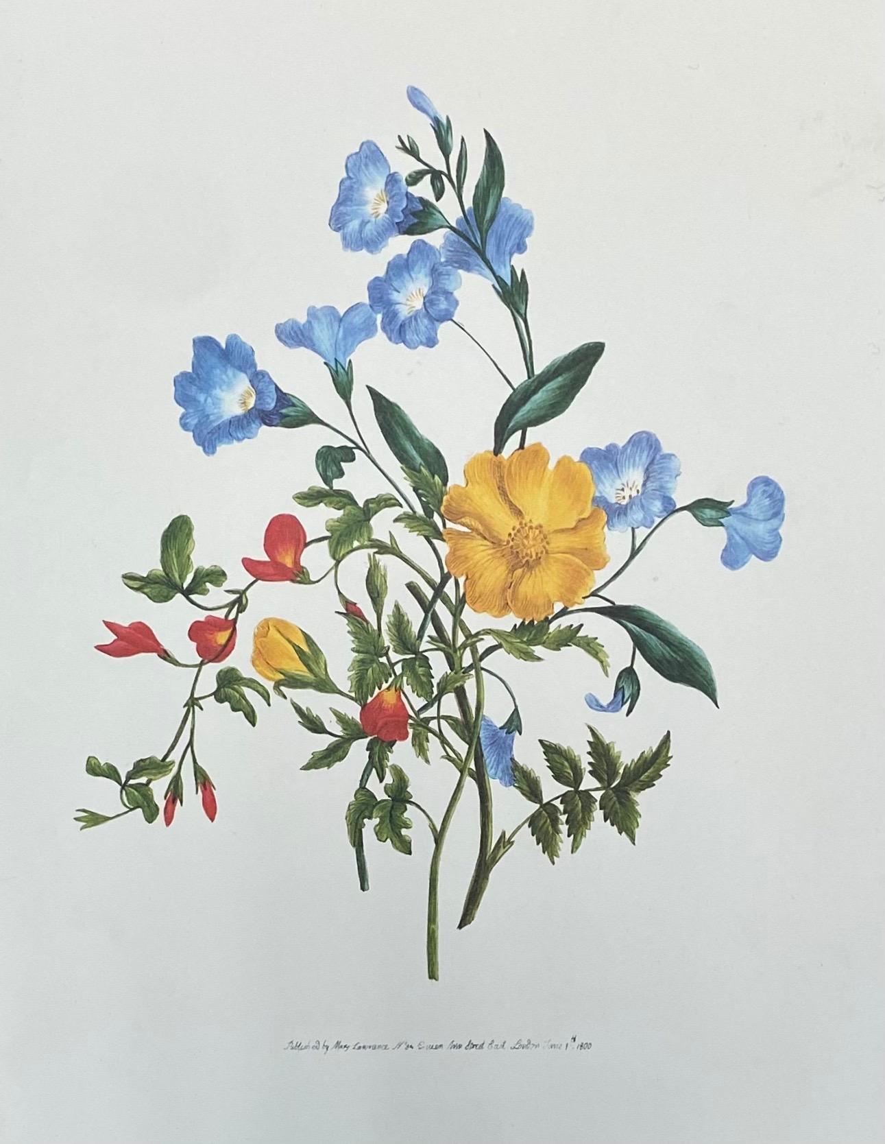 Set von neun botanischen, geblümten Drucken, Ideal Gallery Wandprojekt im Angebot 2