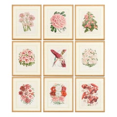 Prints