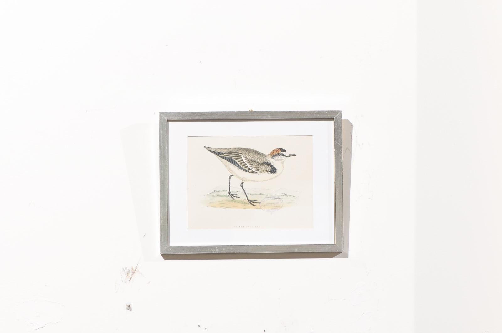 19th Century Set of Nine English Prints Depicting Birds in Silver Frames, circa 1891