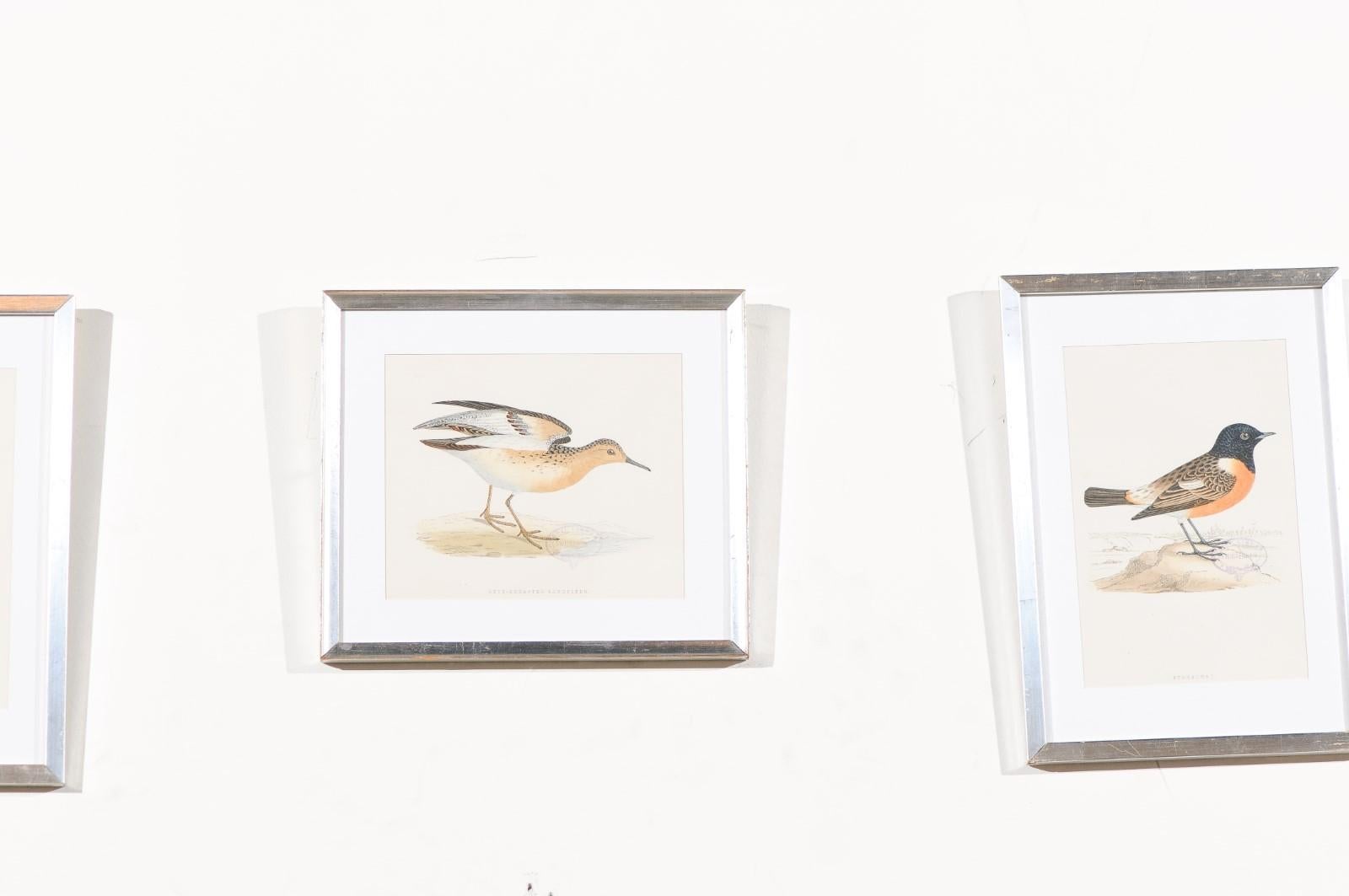 Set of Nine English Prints Depicting Birds in Silver Frames, circa 1891 2