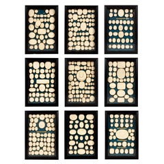 Set of Nine Framed Trays of Grand Tour Plaster Intaglios