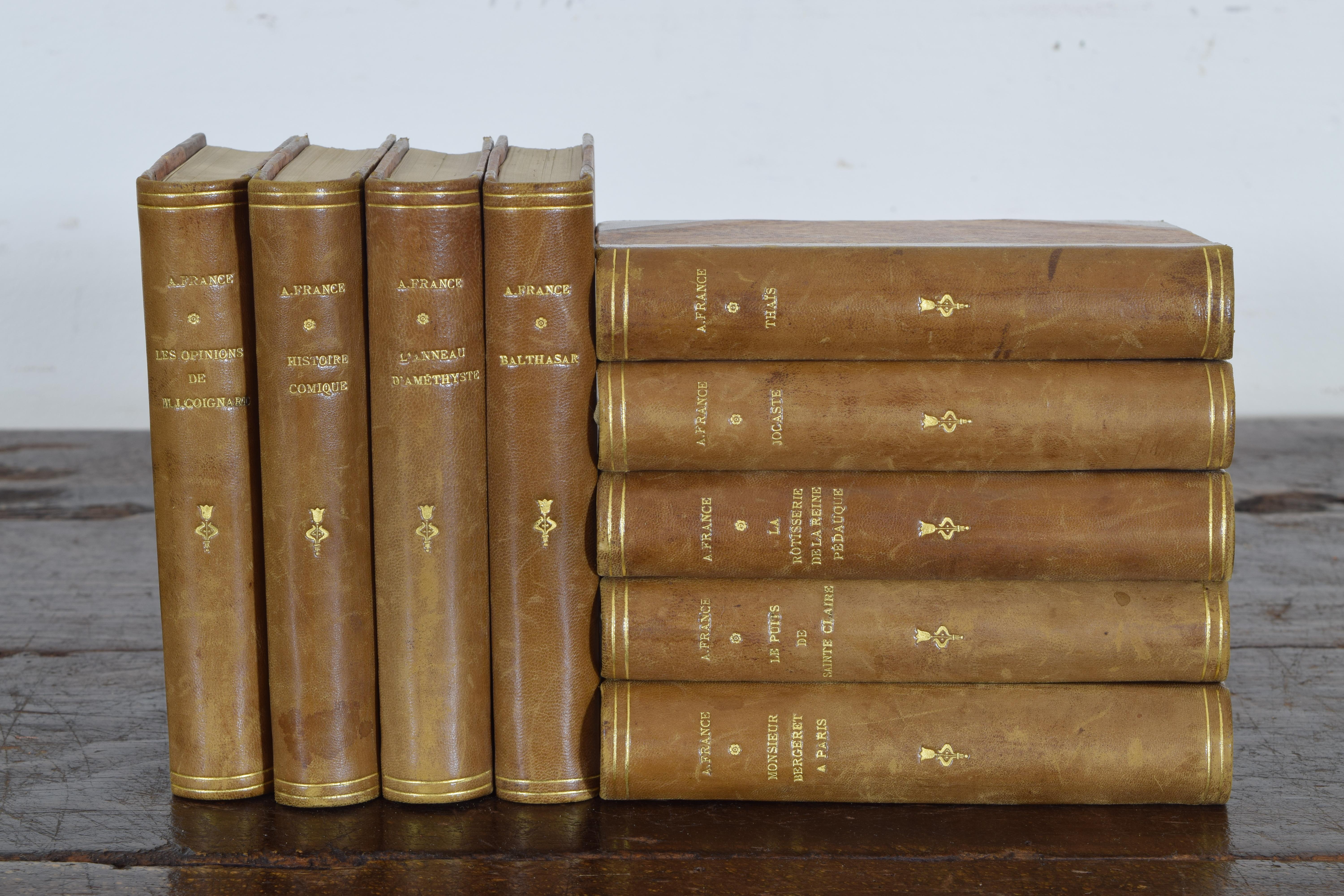 Mid-19th Century Set of Nine French Leather Bound Histories, 19th Century