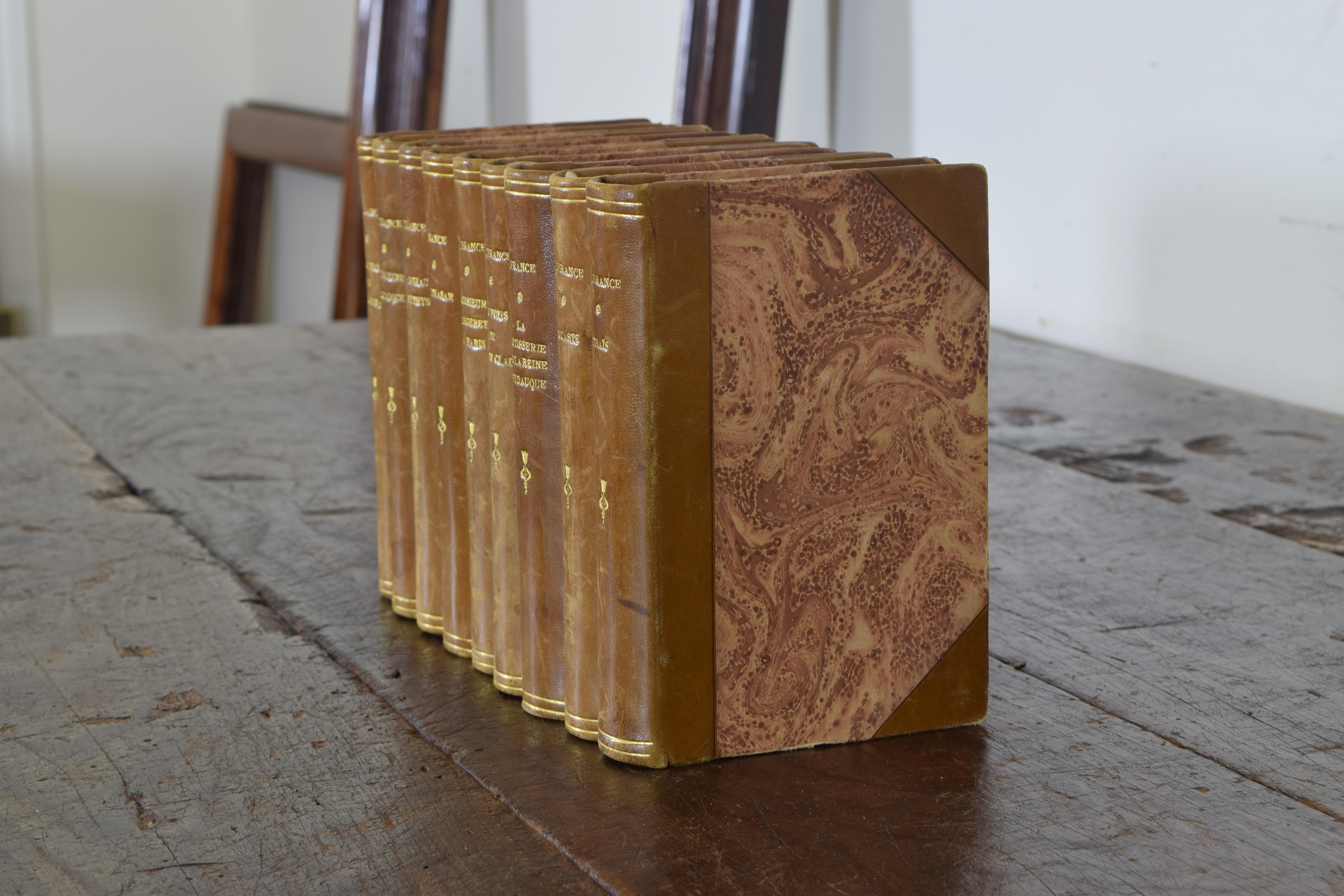 Set of Nine French Leather Bound Histories, 19th Century 1