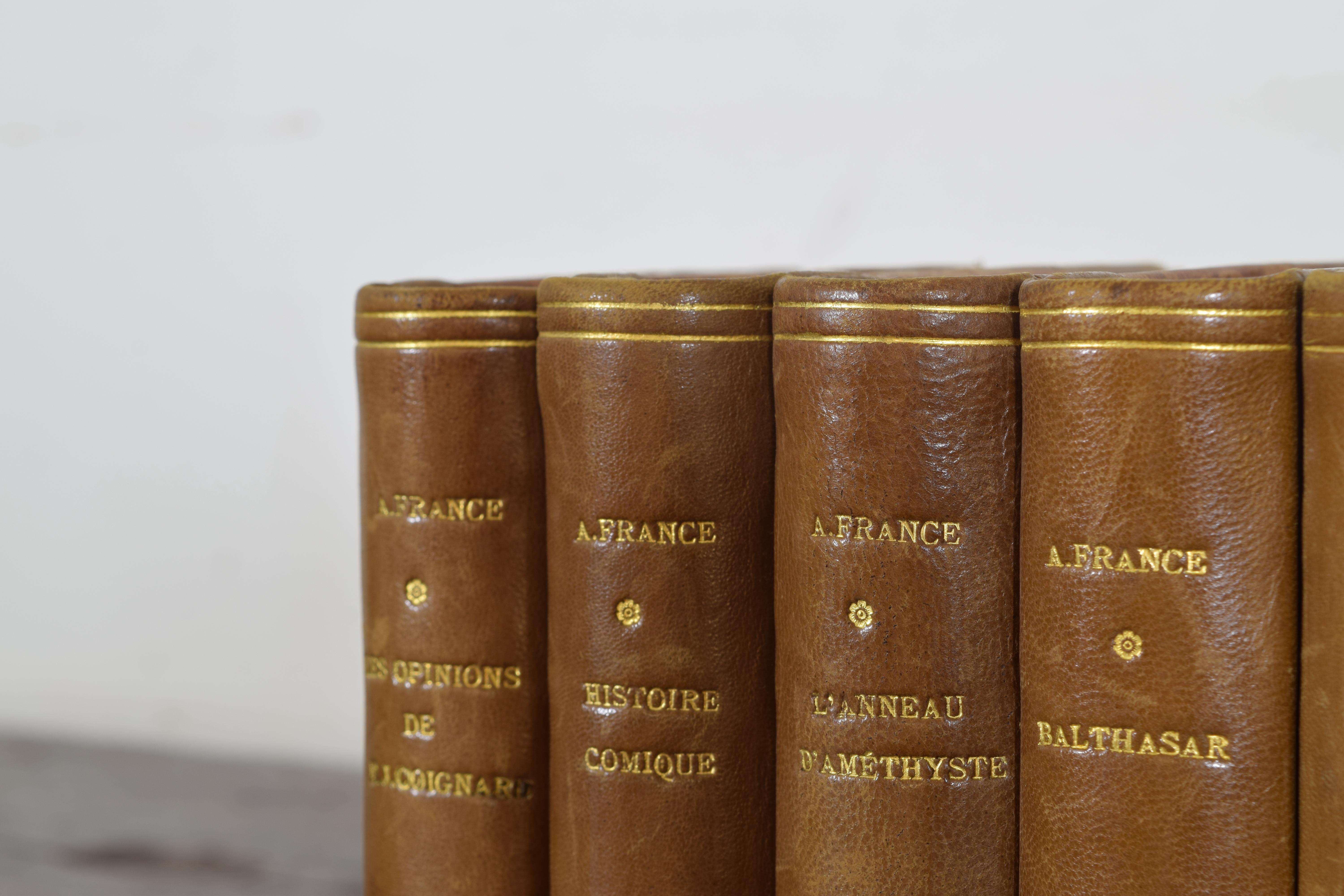 Set of Nine French Leather Bound Histories, 19th Century 2