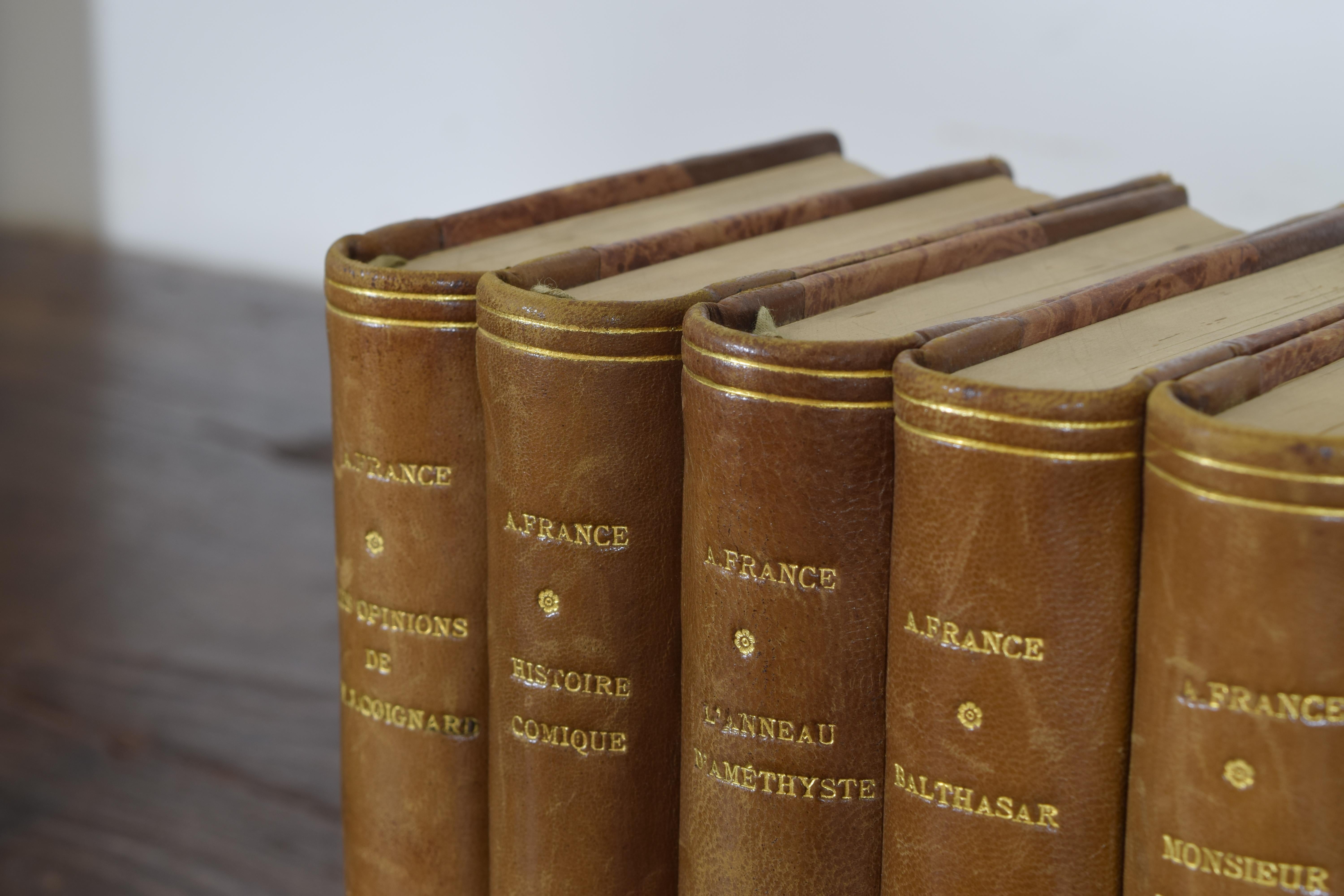 Set of Nine French Leather Bound Histories, 19th Century 3
