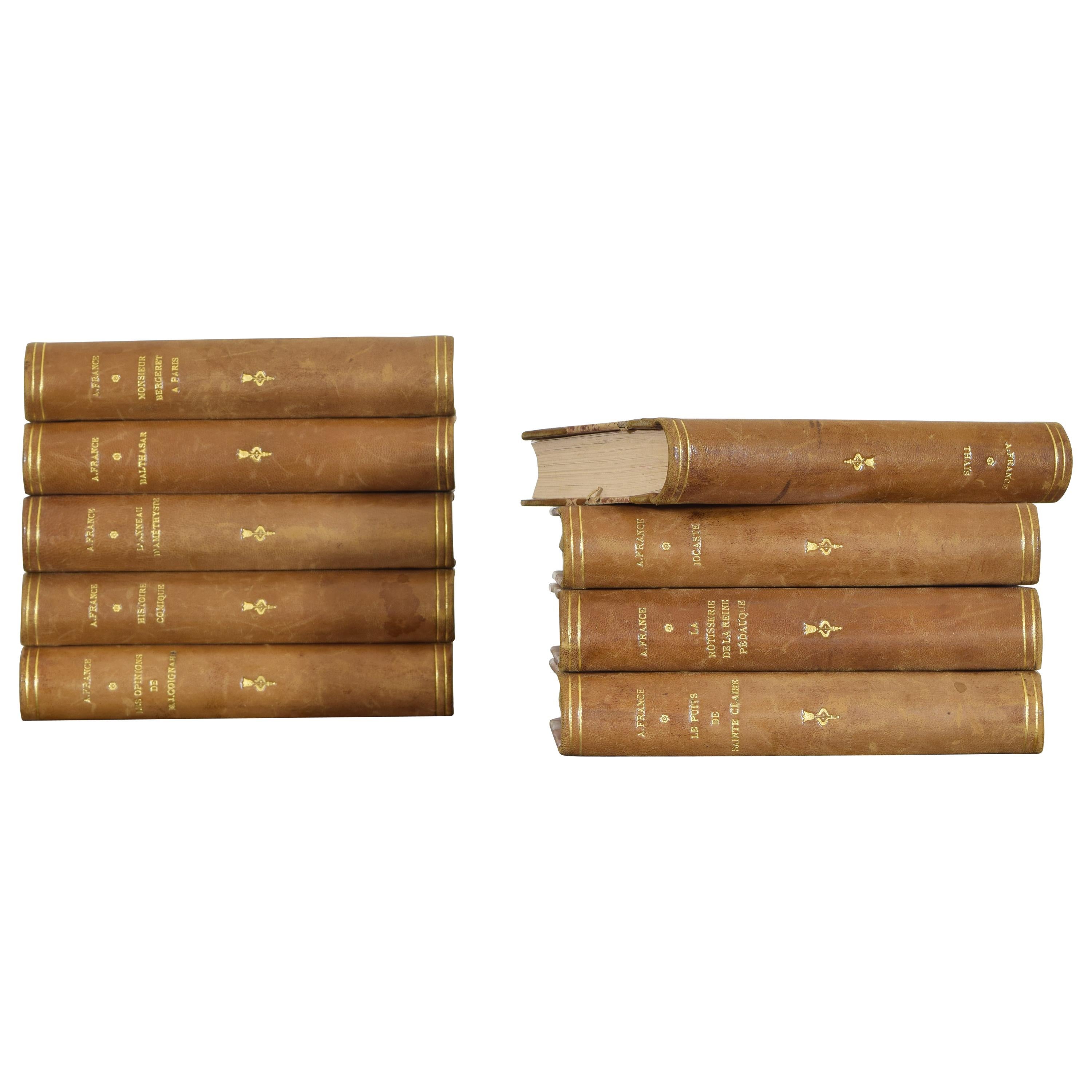 Set of Nine French Leather Bound Histories, 19th Century
