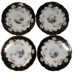 Ensemble de neuf assiettes de cabinet peintes à la main Scottish Welsh Views Coalport