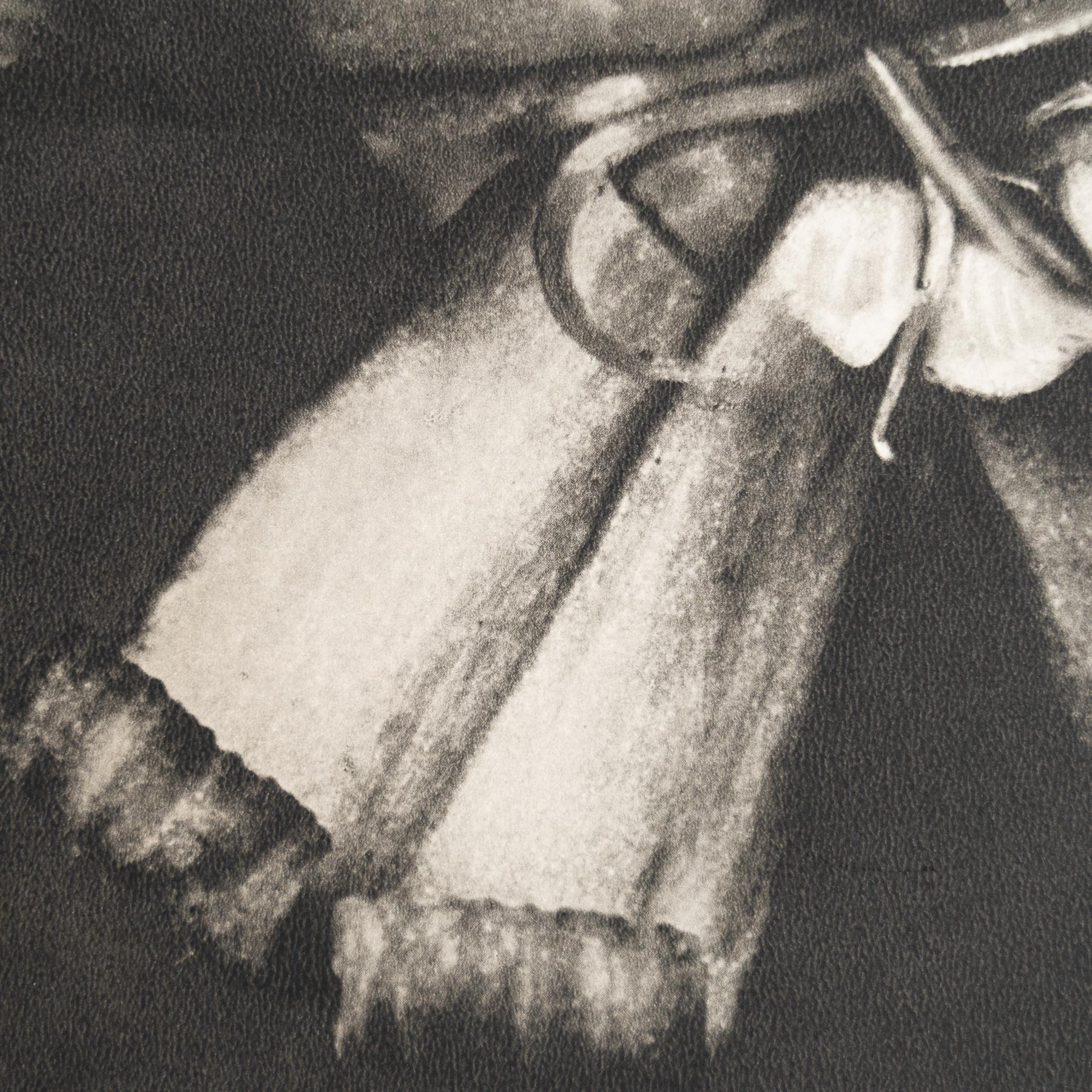 Set di nove fotogrammi incorniciati di Karl Blossfeldt: Natural Elegance (1942) in vendita 9