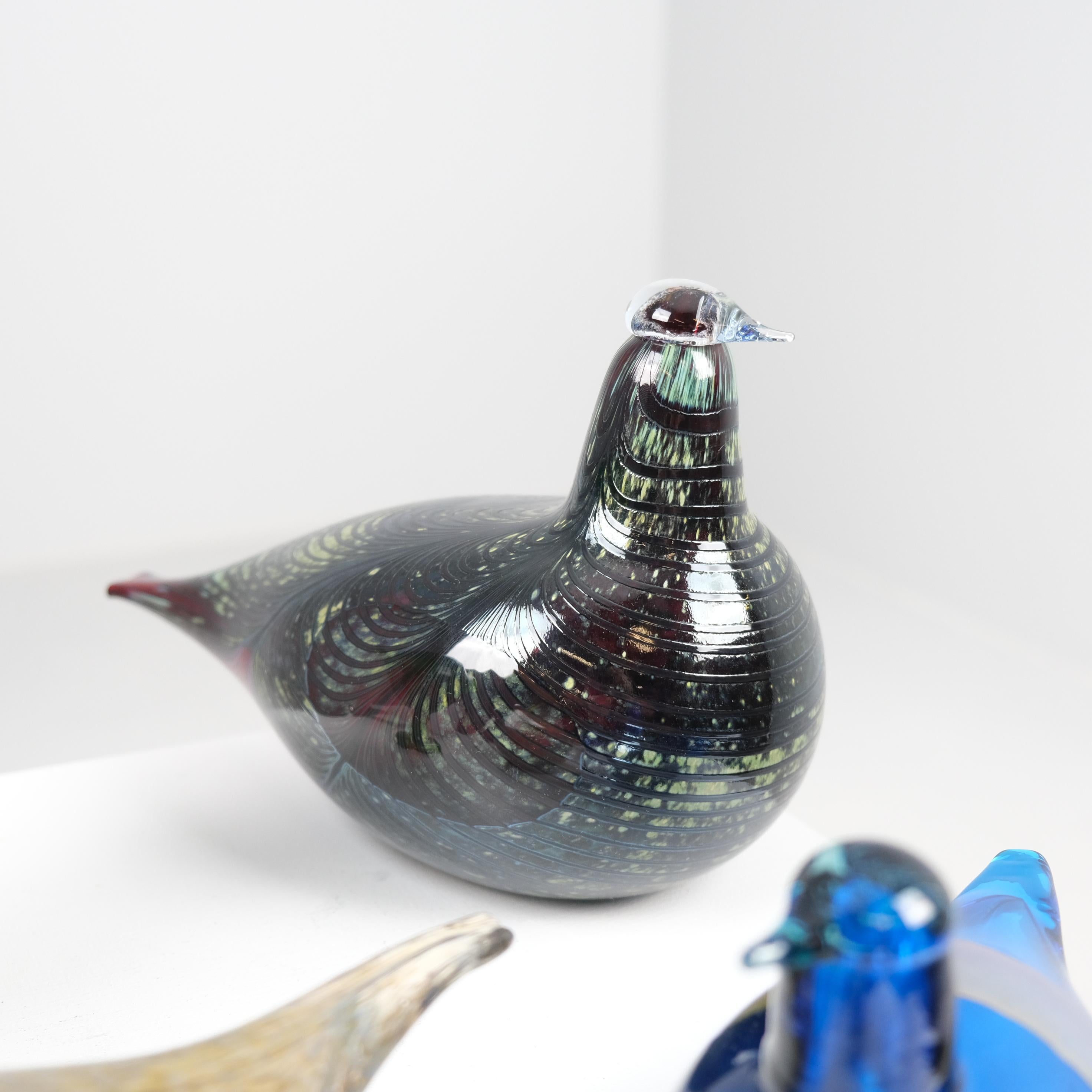 Neuner-Set Oiva Toikka Vögel, Grüner Ibis, Schwan, Regenpfeifer, Iittala & Nuutajärvi im Angebot 4