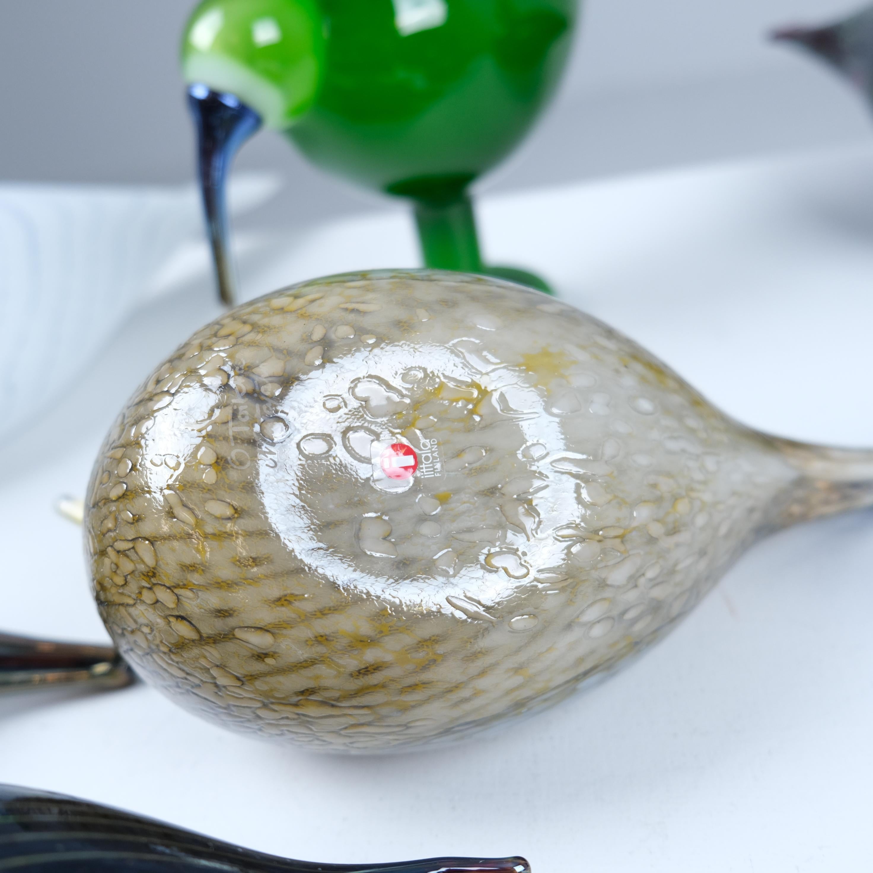 Neuner-Set Oiva Toikka Vögel, Grüner Ibis, Schwan, Regenpfeifer, Iittala & Nuutajärvi im Angebot 6