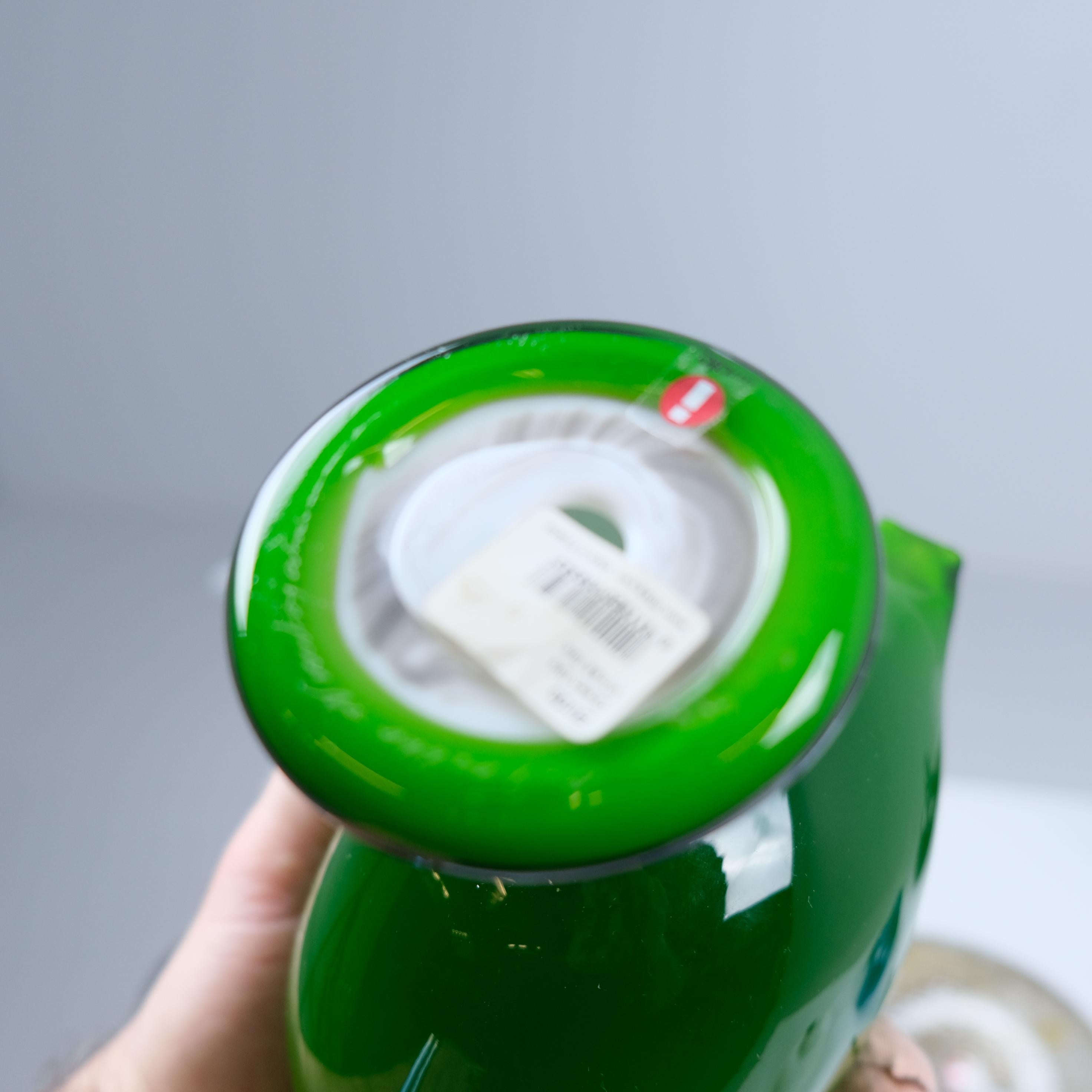 Neuner-Set Oiva Toikka Vögel, Grüner Ibis, Schwan, Regenpfeifer, Iittala & Nuutajärvi im Angebot 8