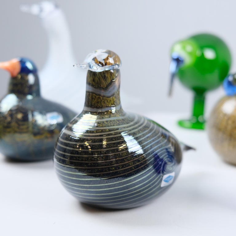 Set of Nine Oiva Toikka Birds, Green Ibis, Swan, Dotterel, Iittala