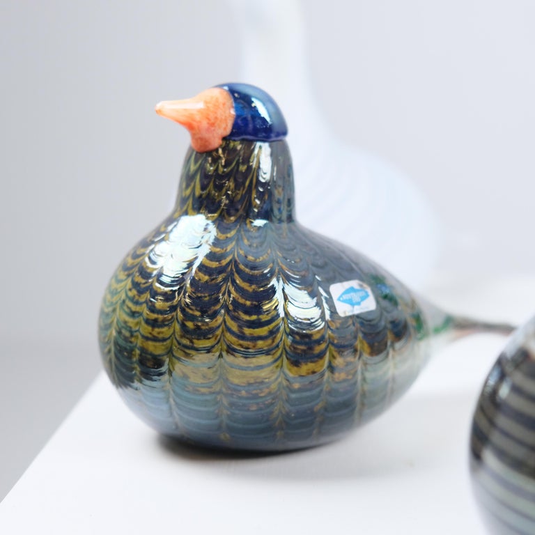 Set of Nine Oiva Toikka Birds, Green Ibis, Swan, Dotterel, Iittala
