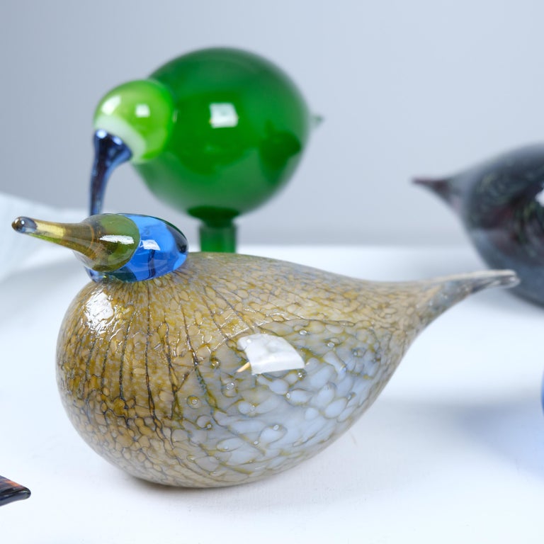 Set of Nine Oiva Toikka Birds, Green Ibis, Swan, Dotterel, Iittala