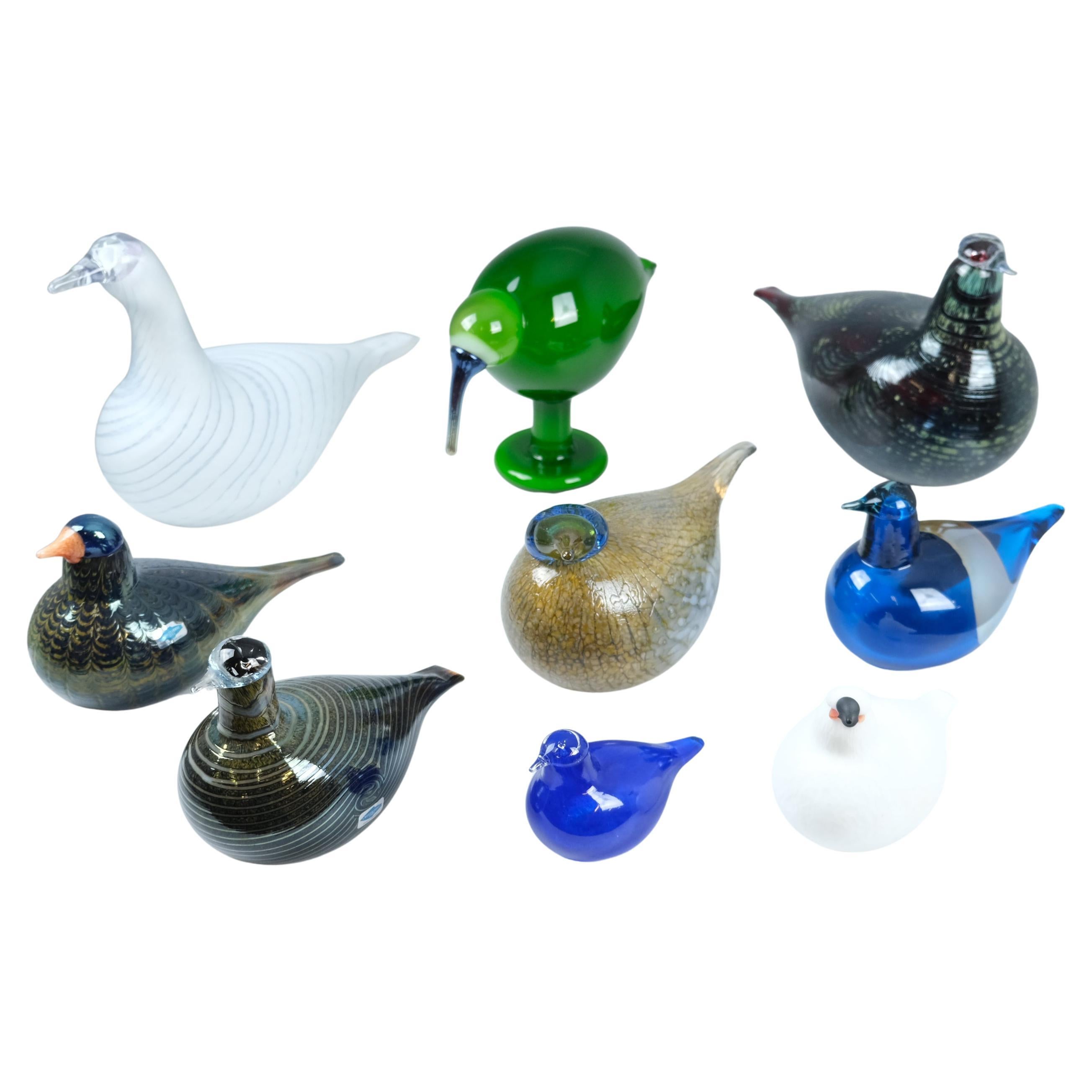 Set of Nine Oiva Toikka Birds, Green Ibis, Swan, Dotterel, Iittala 
Nuutajärvi