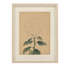 Set of Nine Vintage Original Woodblock Chrysanthemum Prints on Washi Paper