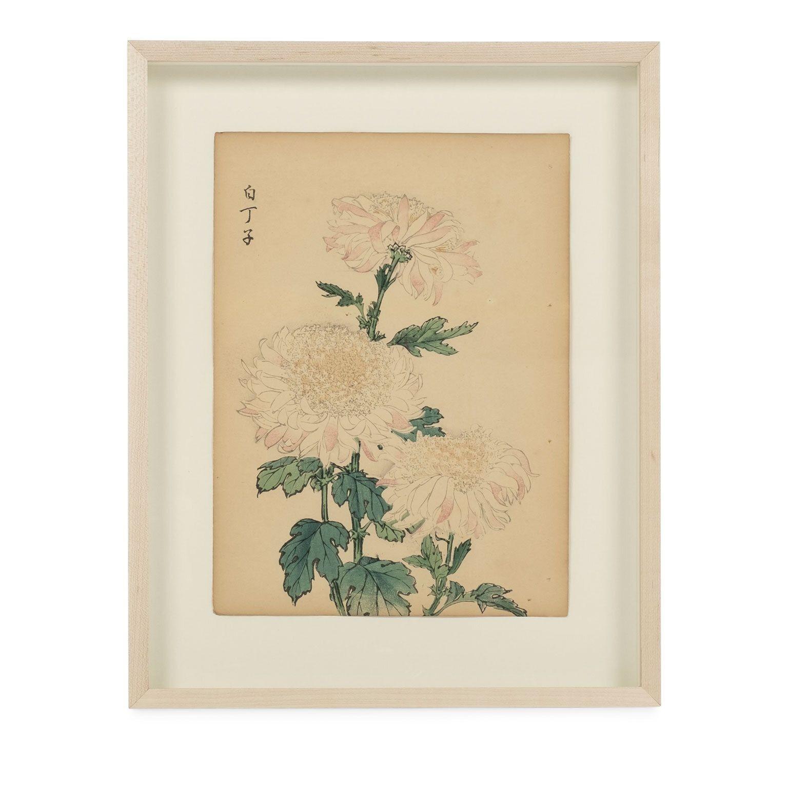 Set of Nine vintage original woodblock chrysanthemum prints on washi paper, by late 19th century artist Keika Hasegawa. Printed in 1954 as part of a bound three volume set titled 