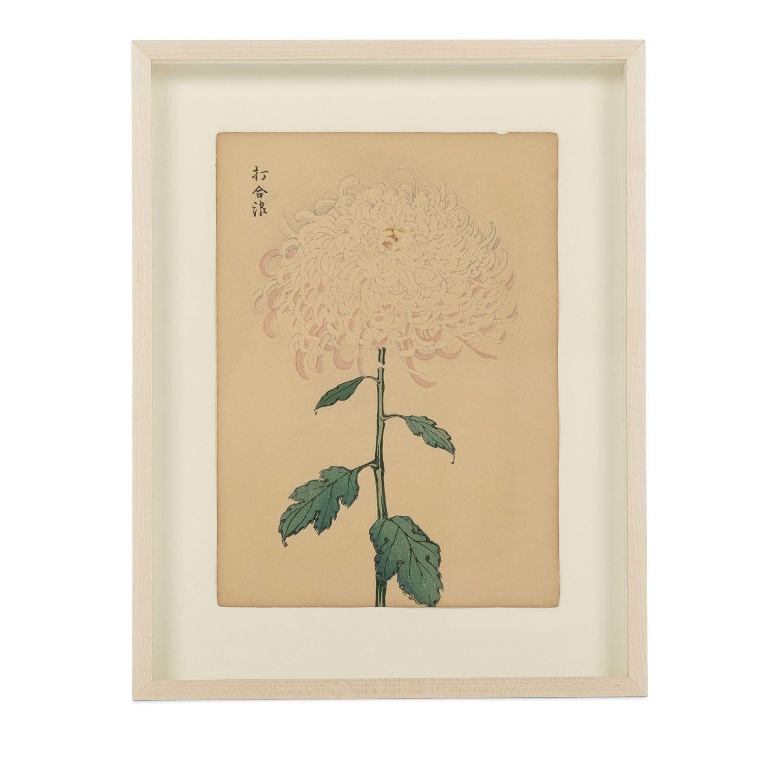 Meiji Set of Nine Vintage Original Woodblock Chrysanthemum Prints on Washi Paper