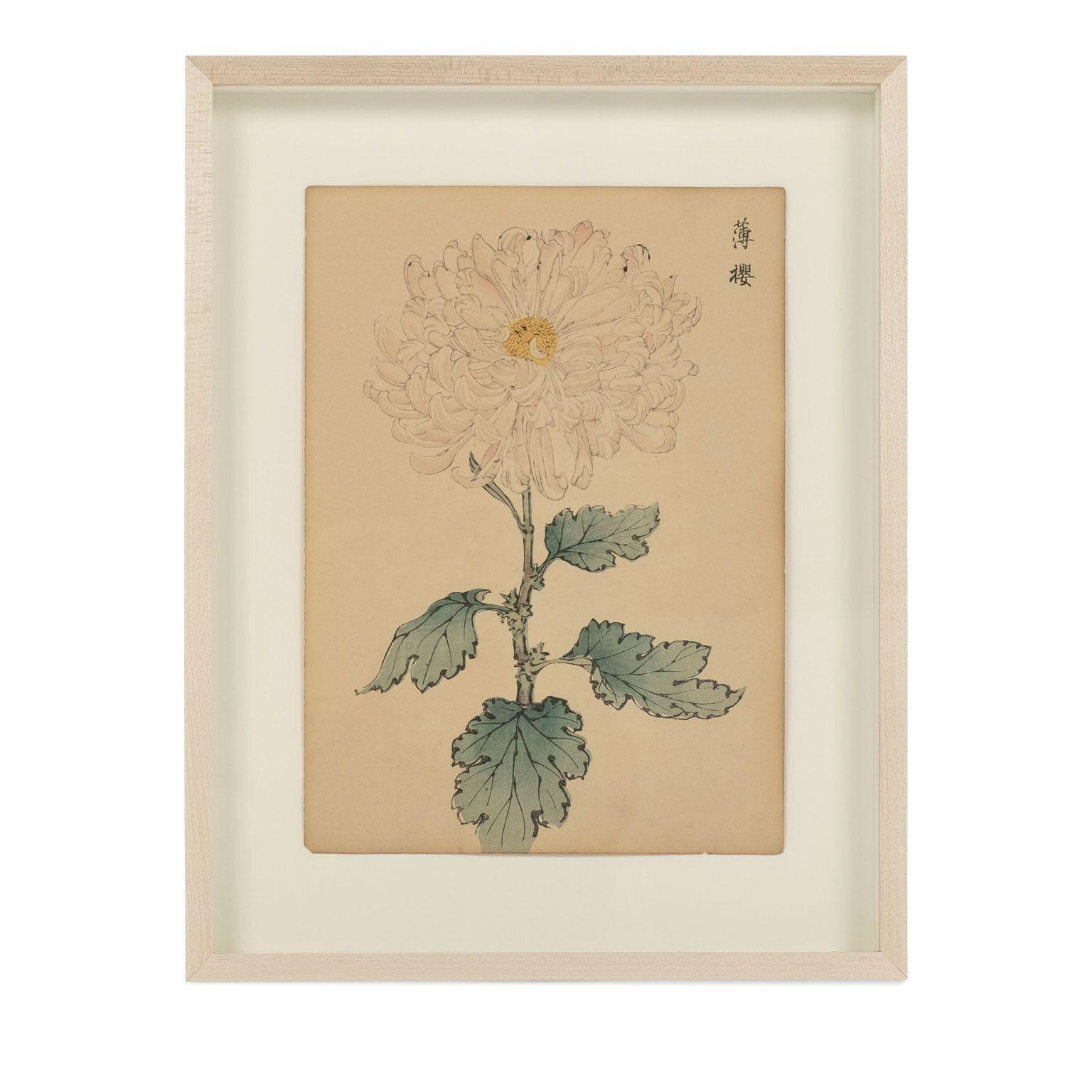 Japanese Set of Nine Vintage Original Woodblock Chrysanthemum Prints on Washi Paper