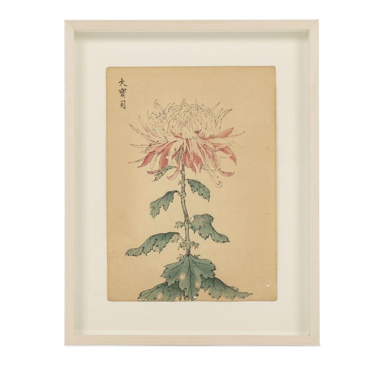 Hand-Painted Set of Nine Vintage Original Woodblock Chrysanthemum Prints on Washi Paper