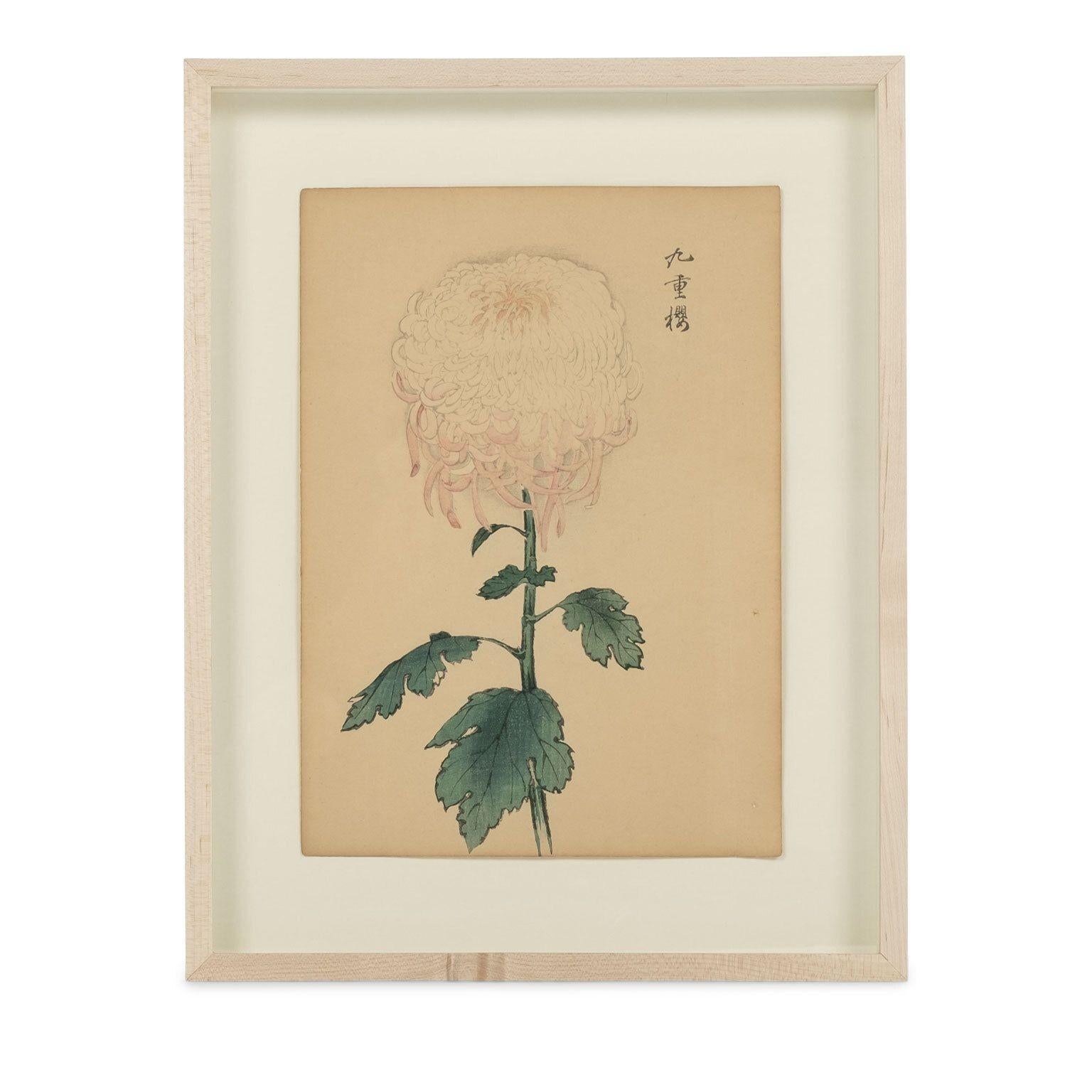 Mid-20th Century Set of Nine Vintage Original Woodblock Chrysanthemum Prints on Washi Paper