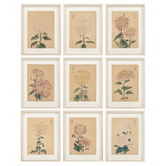 Set of Nine Vintage Original Woodblock Chrysanthemum Prints on Washi Paper