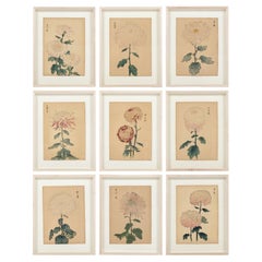 Set of Nine Retro Original Woodblock Chrysanthemum Prints on Washi Paper