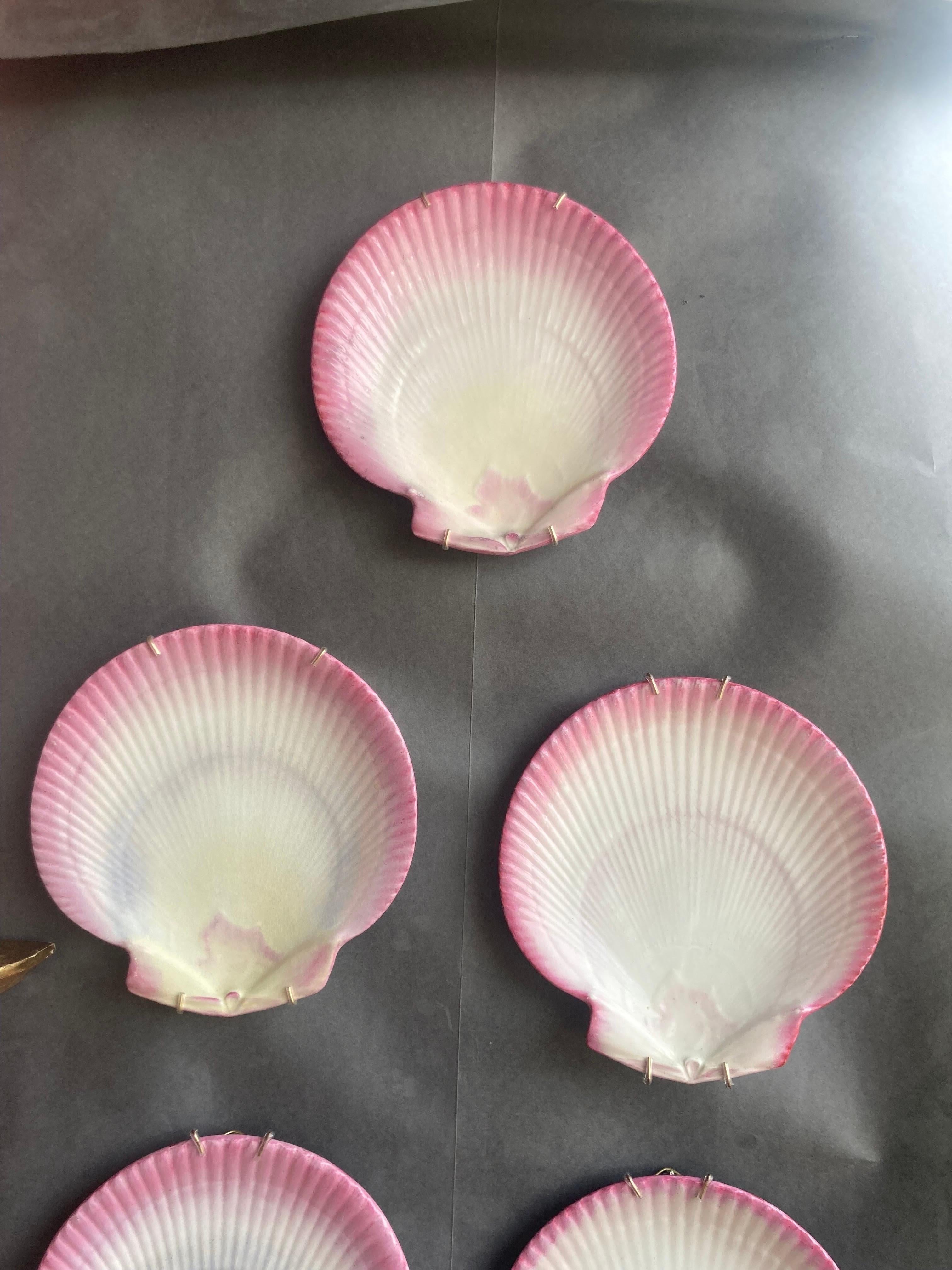 wedgwood scallop plate