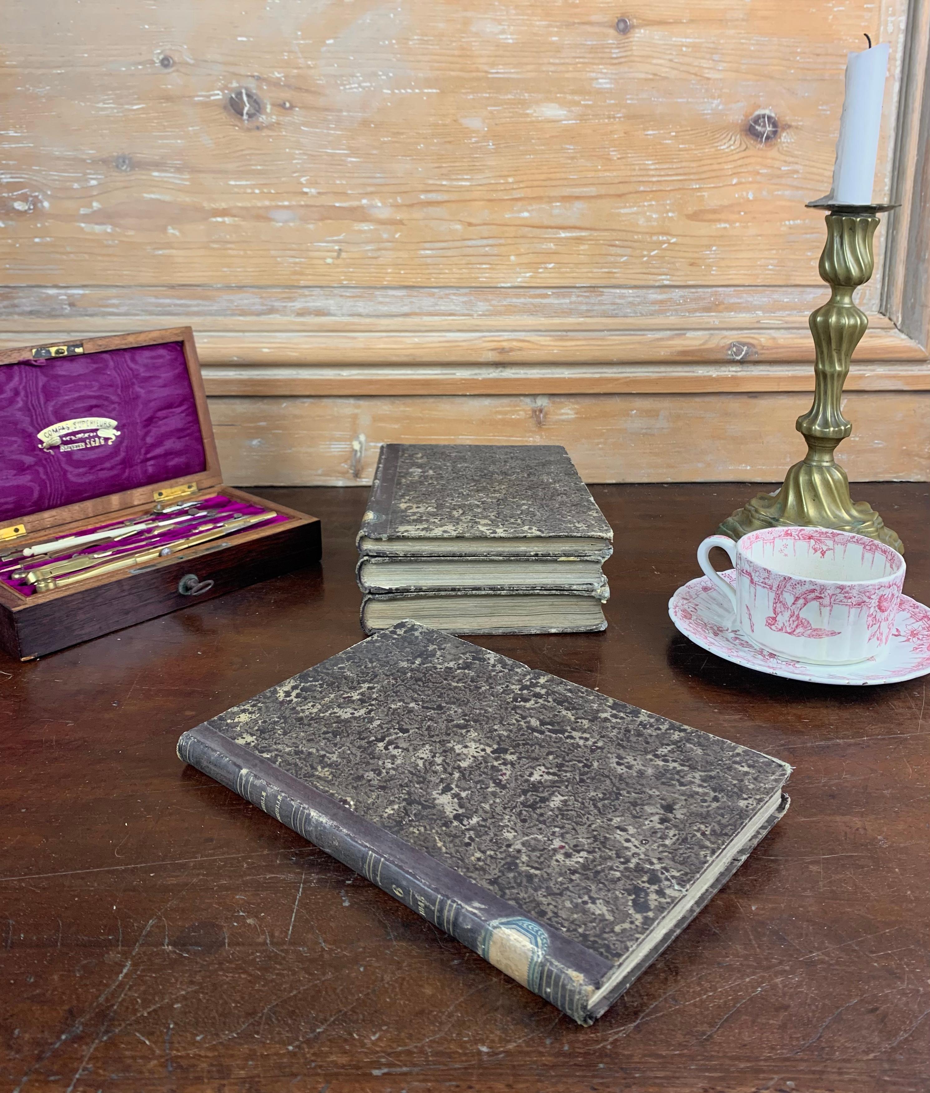 Set of Old Books from 19th Century  10