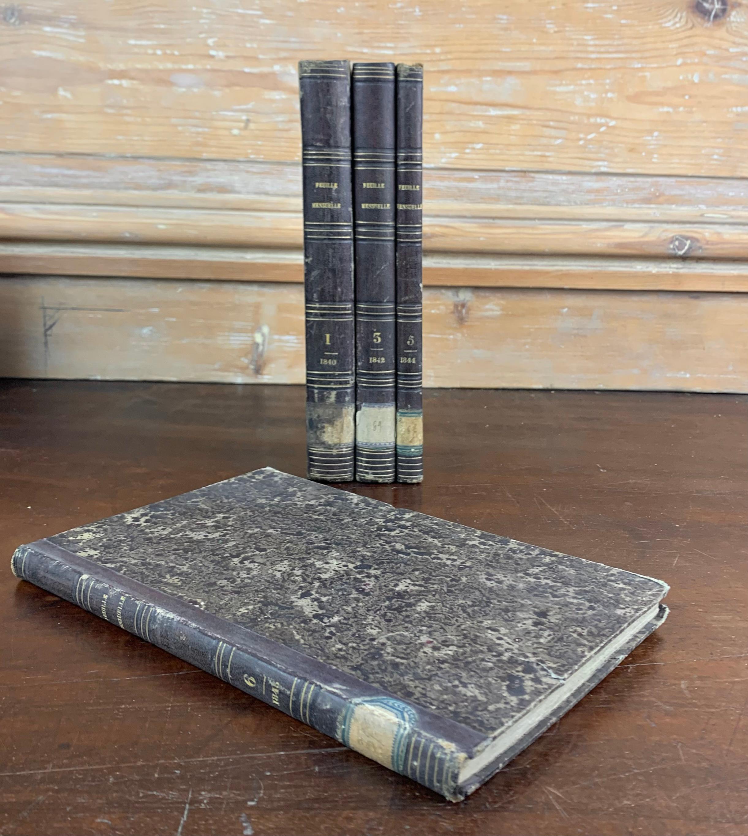French Set of Old Books from 19th Century 