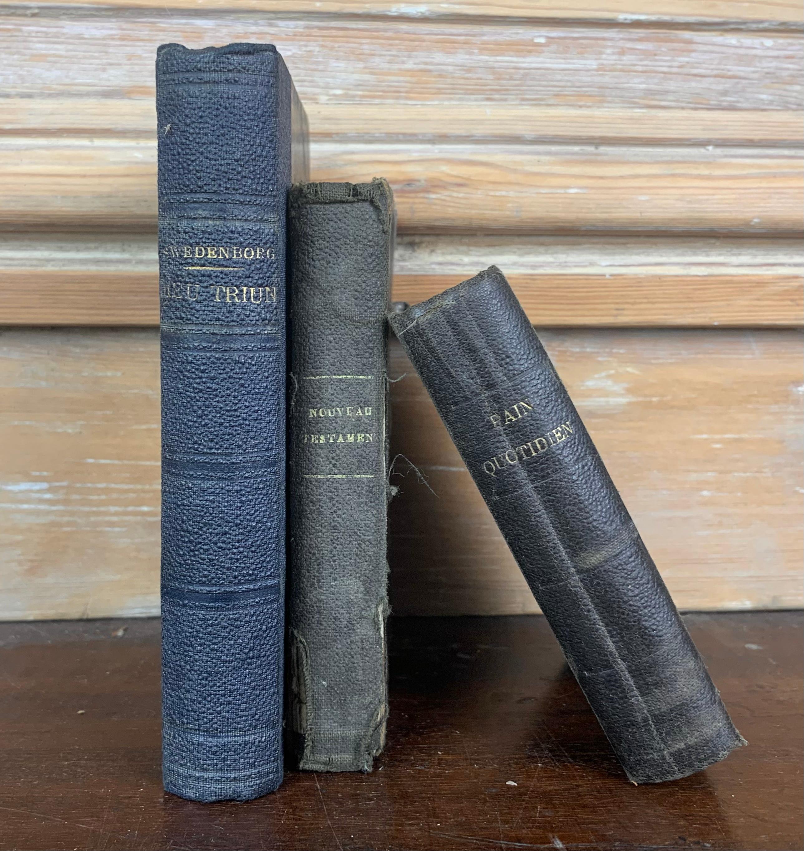 French Set of Old Books from 19th Century For Sale